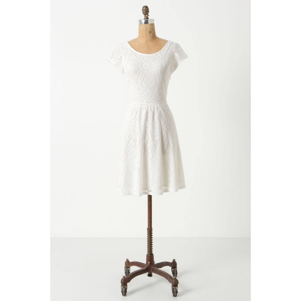 Anthropologie Fluttering Flora Dress